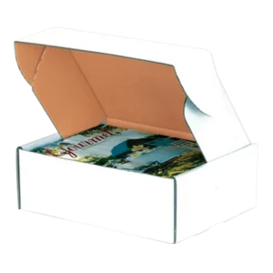 White Mailer Boxes-2